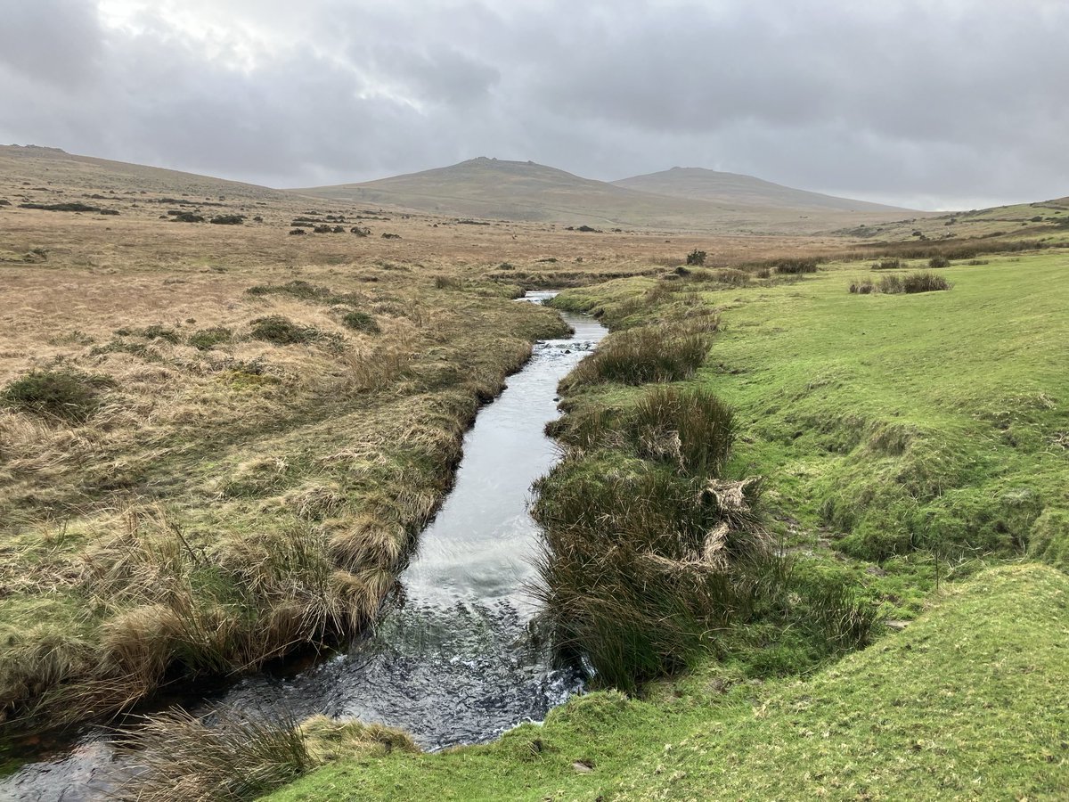 Better weather on Dartmoor today. Moor Brook looking to West Mill Tor &amp; Yes Tor.