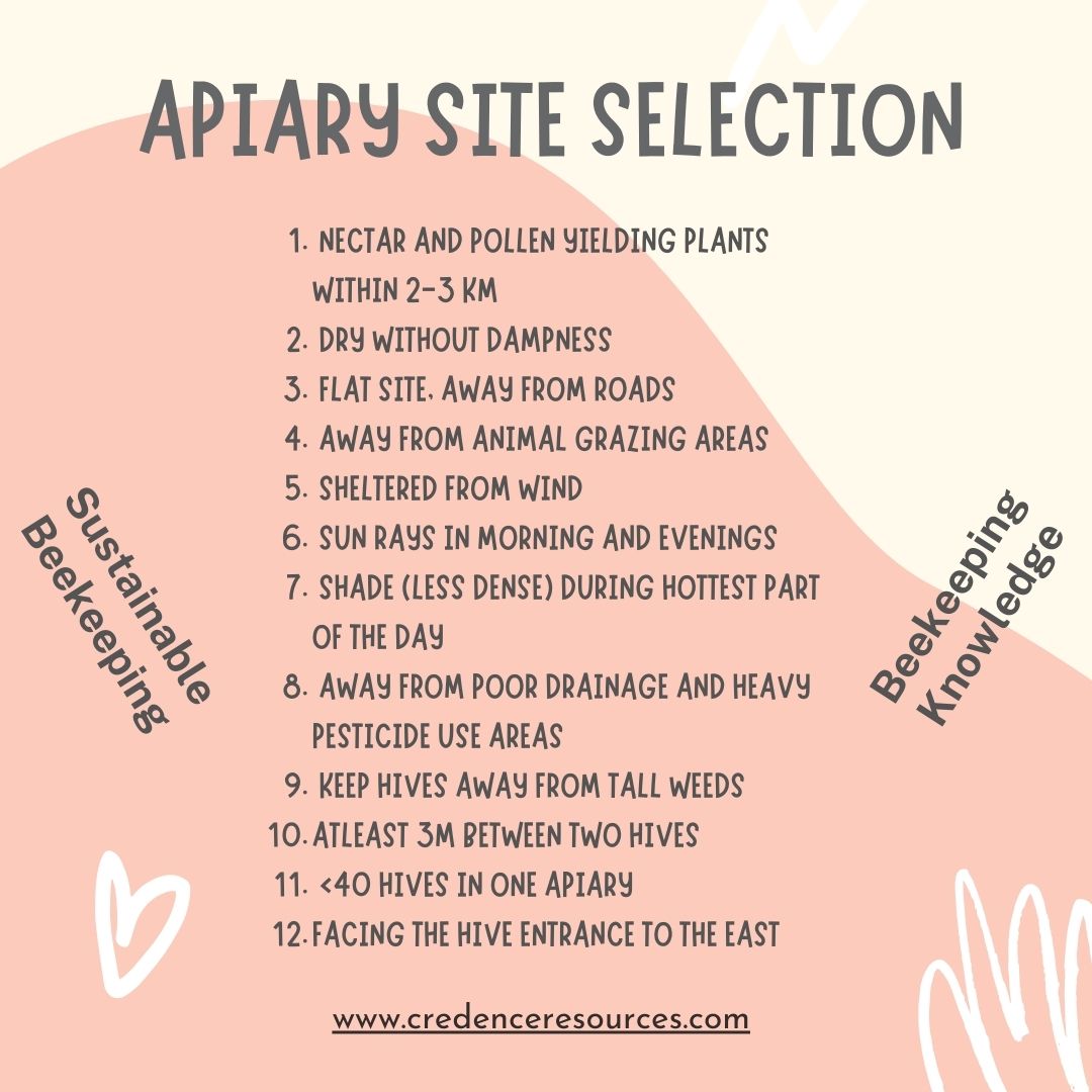 cresources's tweet image. Finding the perfect spot for your hive is crucial for happy and thriving bees. Our recommendations take into account sunlight, flora diversity, and environmental factors to ensure your apiary flourishes. 🌻🍯Visit credenceresources.com to explore the buzz-worthy possibilities!