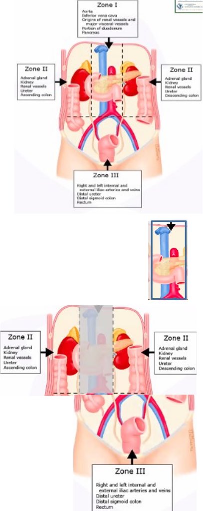 Dr Luis Felipe Cabrera Vargas MD FACS tweet media