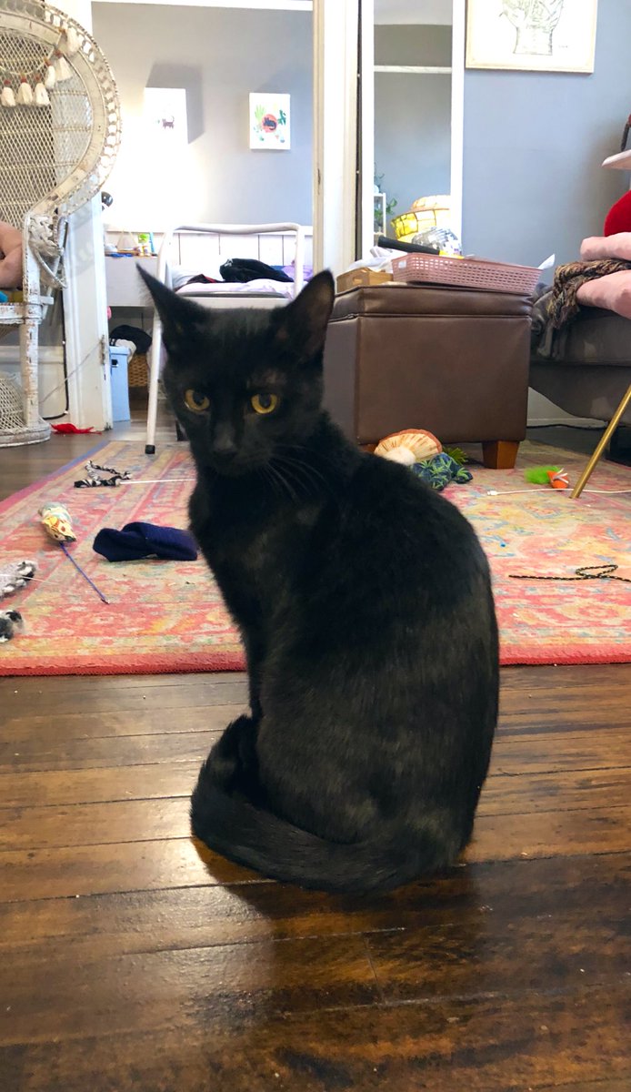 7 years bad luck if u don’t tell her she’s pritty