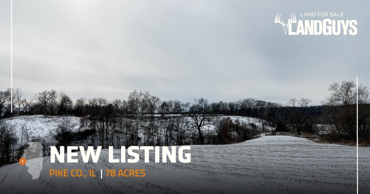 💥New listing!💥 78 acres in Pike County, Illinois
$530,604 | See more ► landguys.info/pikecountyilli…

This 78 acres in Pike co IL has a near perfect mix of timber and tillable.

#LandGuys #LandForSale #Property #RealEstate #Outdoors #Lifestyle #PikeCounty #Timber #Tillable