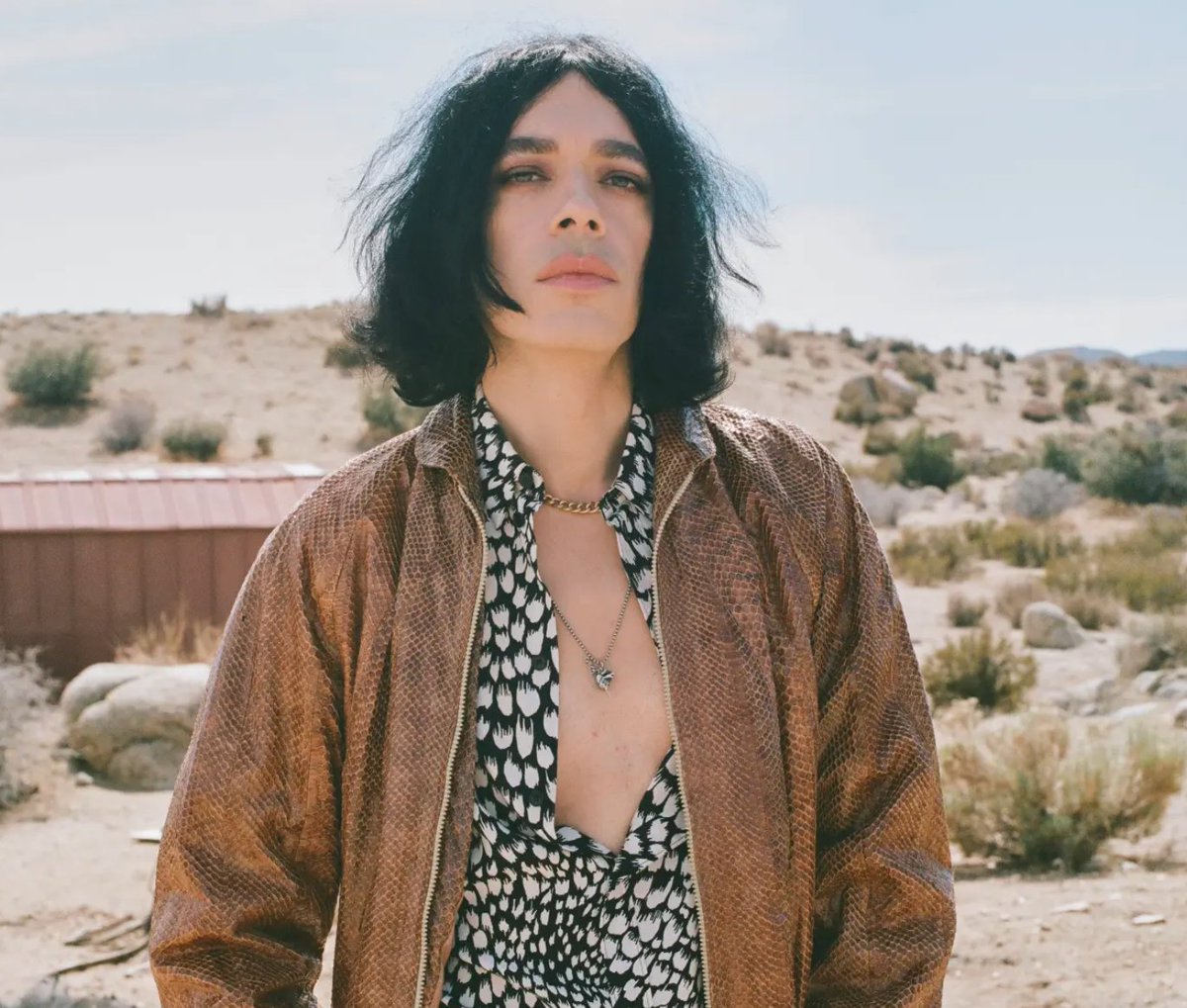 The Basement tweet media