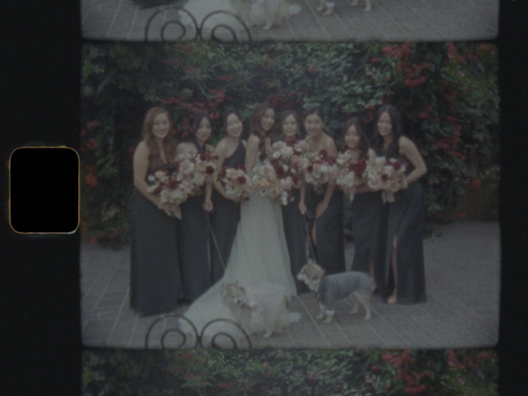 FrameDiscreet's tweet image. The beauty of Super8mm film...

Cinematography by Evan Ding mr.evanjding

Film scans by Frame Discreet framediscreet.com
Timed &amp;amp; Flat versions

Questions about filmmaking, film scanning, film in general?
infoframediscreet.com
416-901-5332