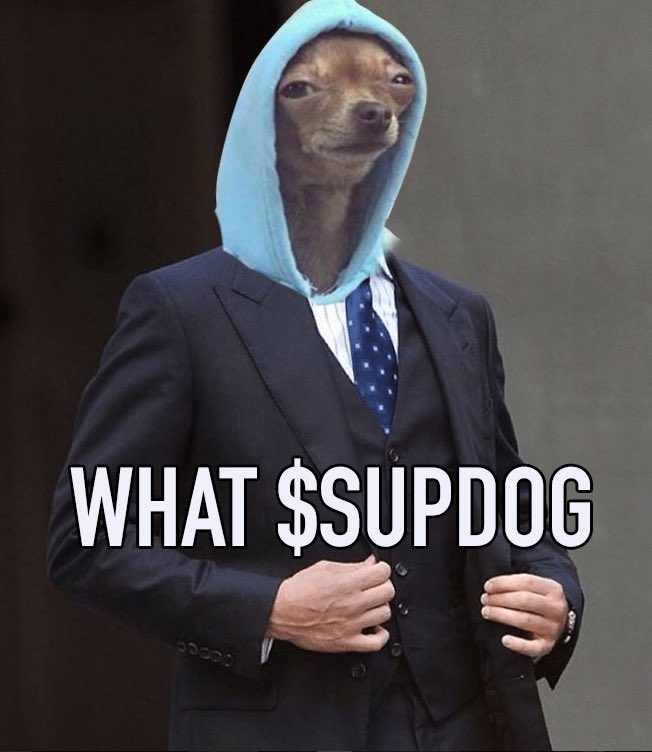 SUPDOGSOL's tweet photo. @IcedKnife That’s what $ SUPDOG https://t.co/2yLWOc3UB2