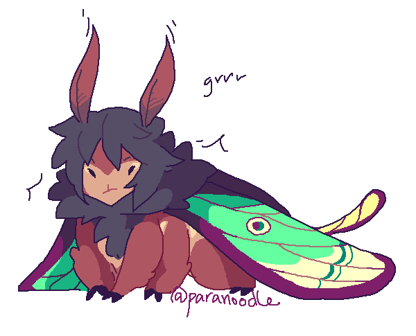 luna moths my beloved