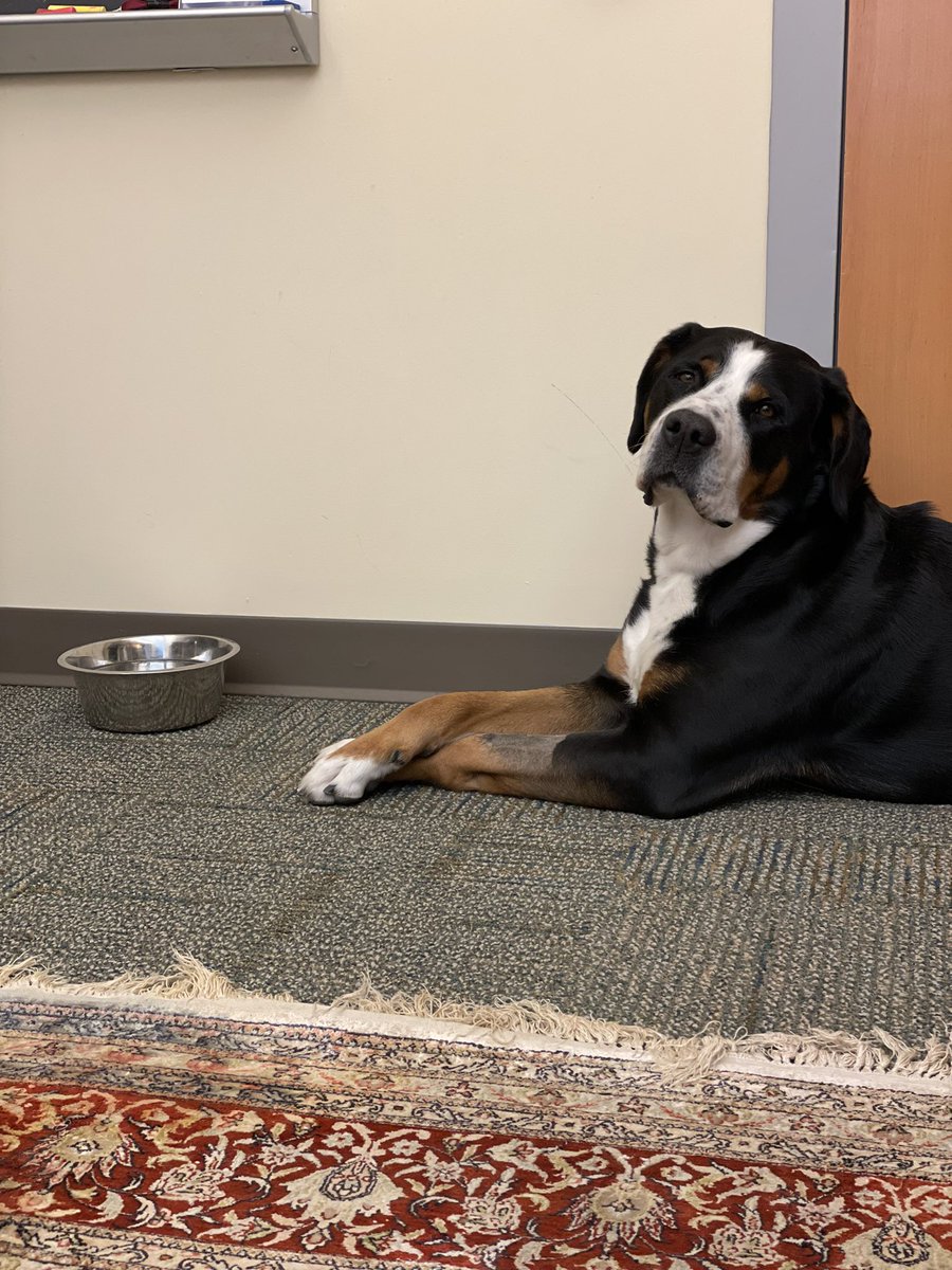 Margaret Anne Hinkle PhD🪨💧🍄🌍 tweet media