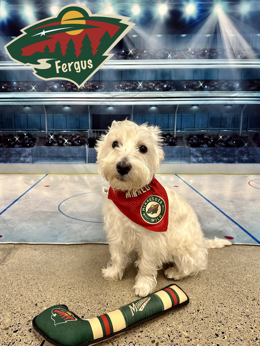 cbwedenprairie's tweet photo. Let’s go Wild!! 🏒 @mnwild https://t.co/zNDtms97qr