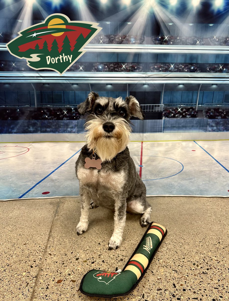 Let’s go Wild!! 🏒 <a href="/mnwild/">x - Minnesota Wild</a>