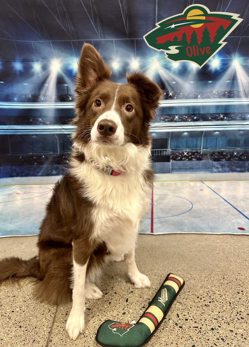 cbwedenprairie's tweet photo. Let’s go Wild!! 🏒 @mnwild https://t.co/zNDtms97qr