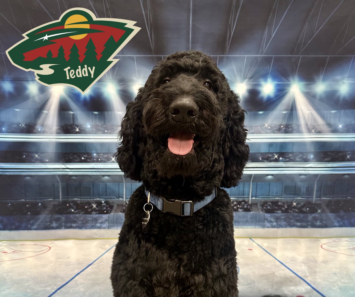 cbwedenprairie's tweet photo. Let’s go Wild!! 🏒 @mnwild https://t.co/zNDtms97qr