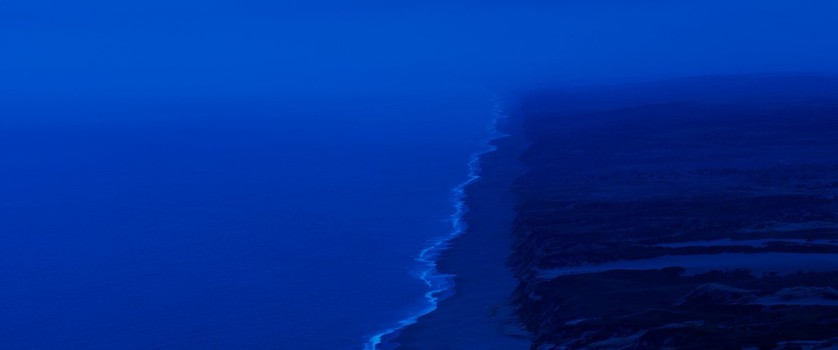 priyanka tweet media