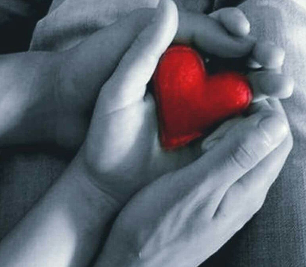 AŞK💕BEYİ💕SERKAN tweet media