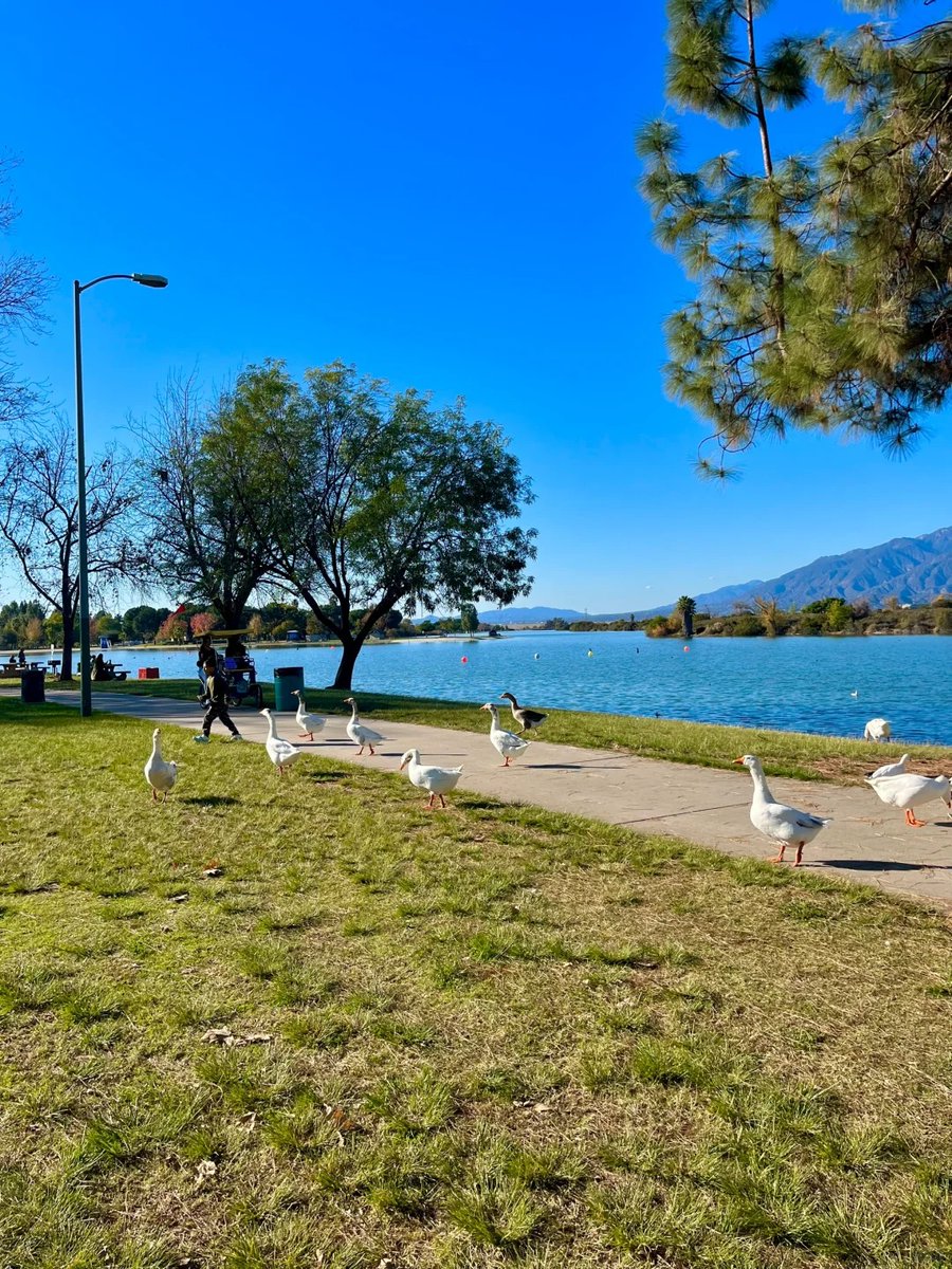 backkward underactor thermostatic levite
Santa Fe Dam, one of the most scenic parks in Los Angeles.
After Santa Fe Dam, Whitter Narrows is just so-so.
#California #United States of America #Californian #Los Angeles