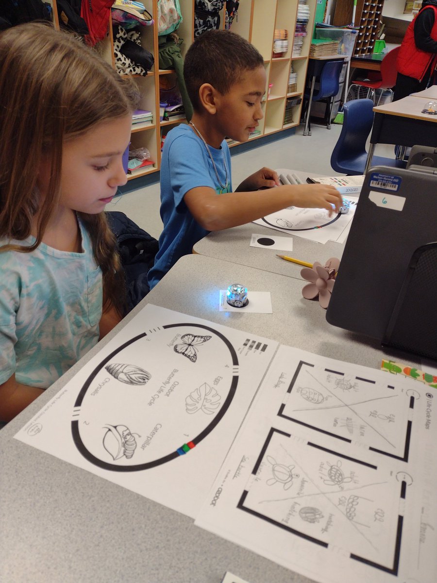 Students were studying the life cycles of butterflies while also mixing in some technology using Ozobots in Ms. Palmer's class today.