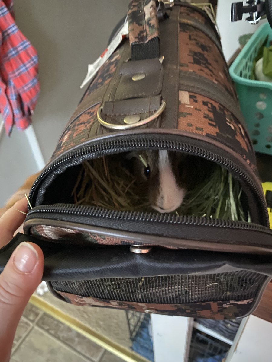 Ms.Grove’s Class tweet media