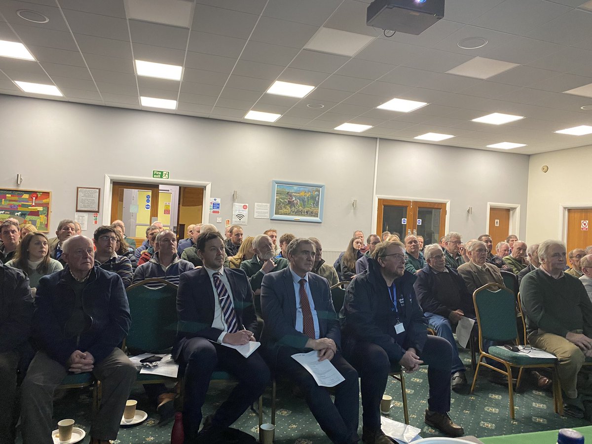 stella owen tweet media