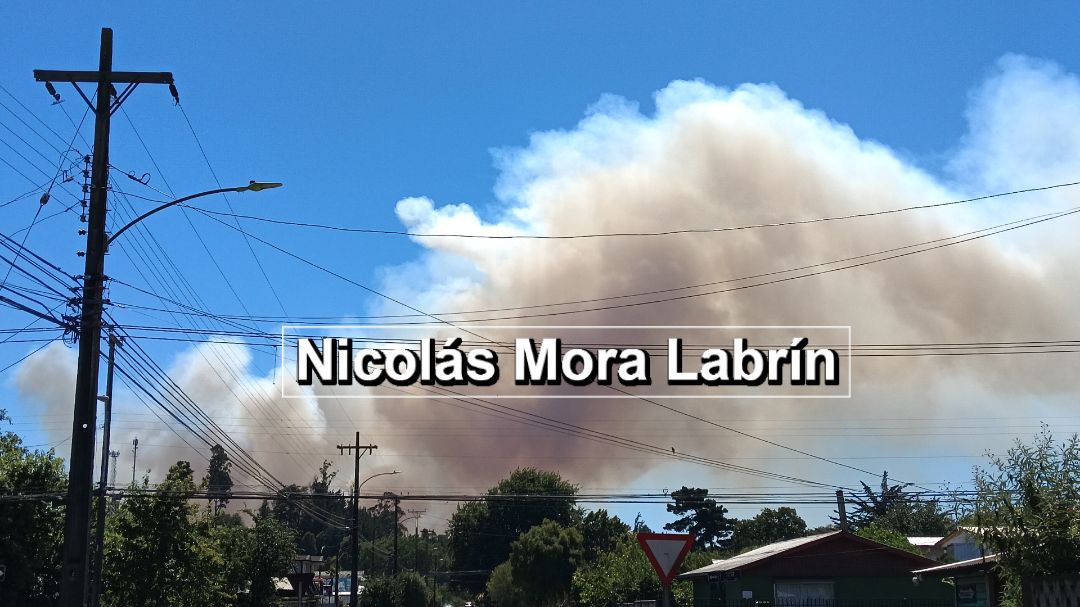 LabrinMora's tweet image. AHORA LAUTARO: SEGUNDA ALARMA DE INCENDIO FORESTAL, Camino a la Colonia Km 4,5.  Bomberos operando sale en apoyo Conaf al lugar