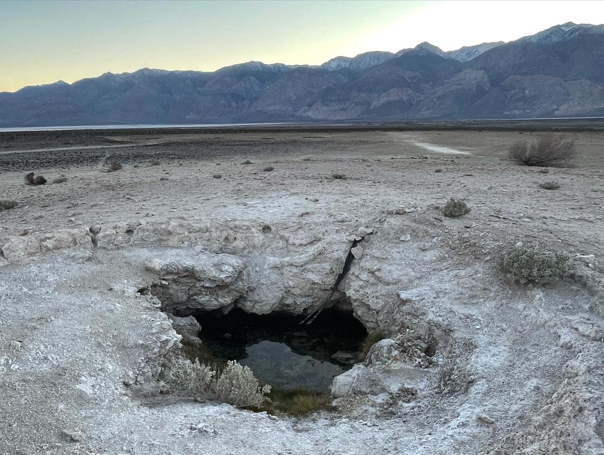 Elias_Funez's tweet photo. Grateful to be able to have gotten away for a few days earlier this month with a little radio silence in Death Valley’s Saline Valley. #deathvalley #dvnp #4runner #overlanding #cawx #pressphotographer https://t.co/4PjHZodSmR