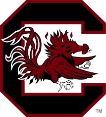 Blessed to receive my first Power 5 offer From The University of South Carolina @southpointeFBSC @CoachSBeamer @CoachTeasley @HOLD2017