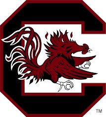 Abaxter2026's tweet photo. Blessed to receive my first Power 5 offer From The University of South Carolina @southpointeFBSC @CoachSBeamer @CoachTeasley @HOLD2017 https://t.co/118r7B6GuC
