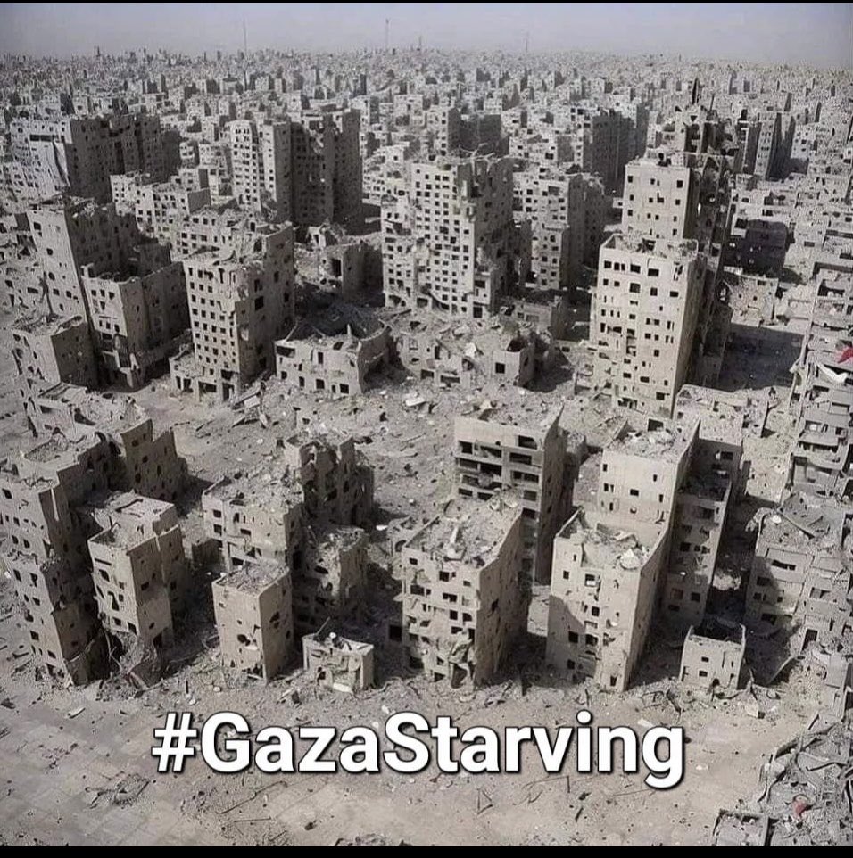 #gazastarving #GazaStarving