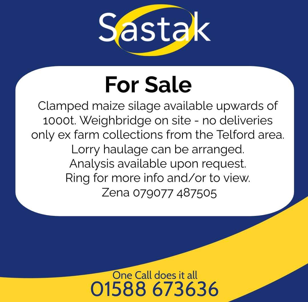 Clamp maize silage for sale.....