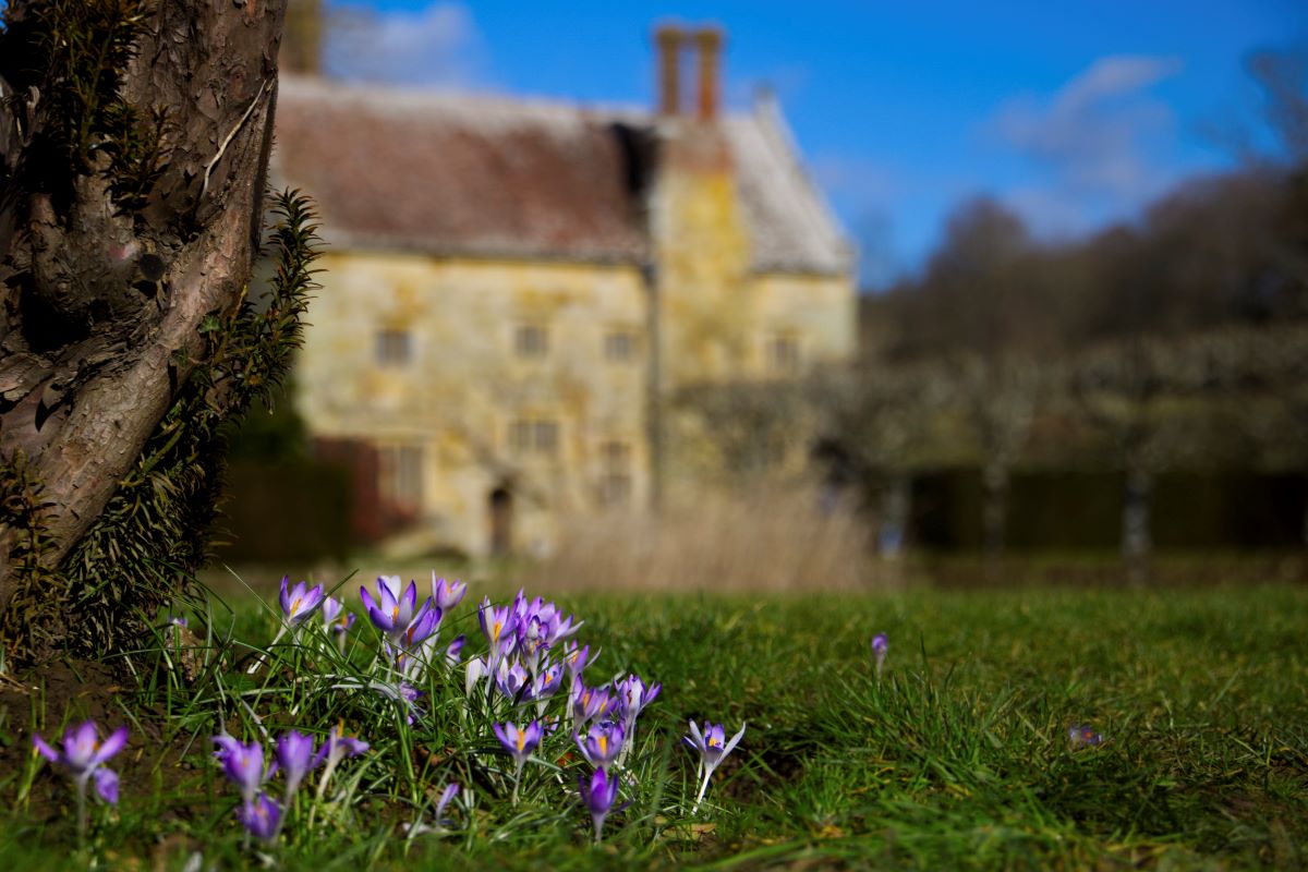 National Trust tweet media
