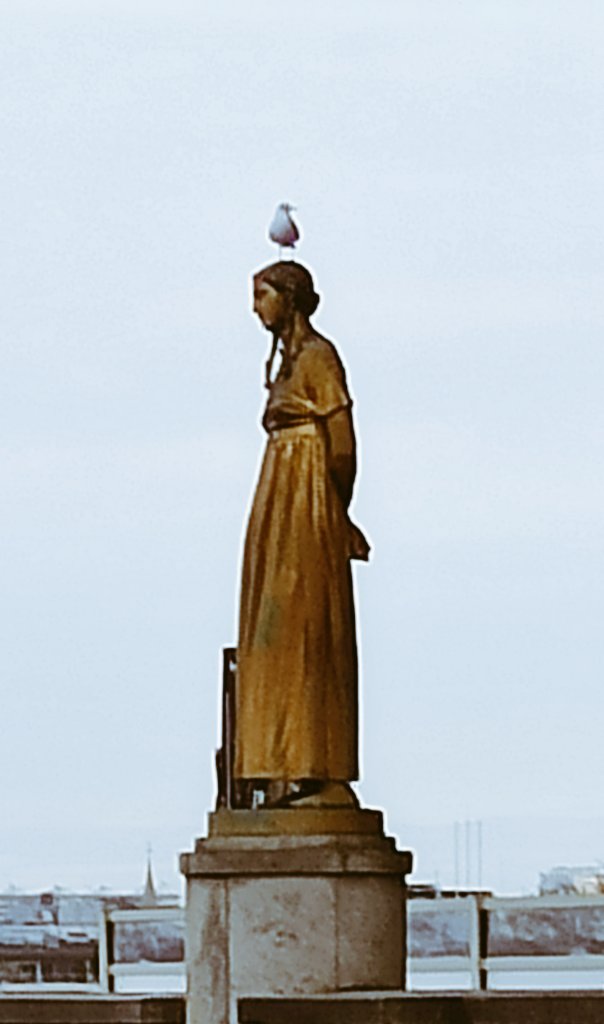 𝘮𝘢𝘳𝘤𝘰 𝘥'𝘰𝘯𝘨𝘩𝘪𝘢⚜️ tweet media