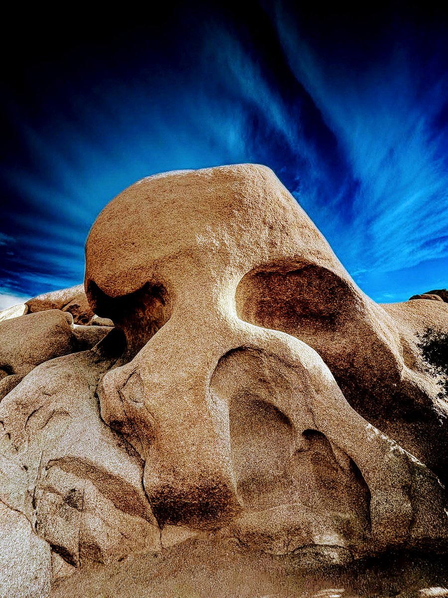 ronnieruff's tweet image. Skull Rock Joshua Tree National Park. #SpookyWednesday #Wednesdayvibe  #TimeLineCleanser