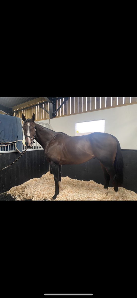 Emma Bishop Racing tweet media