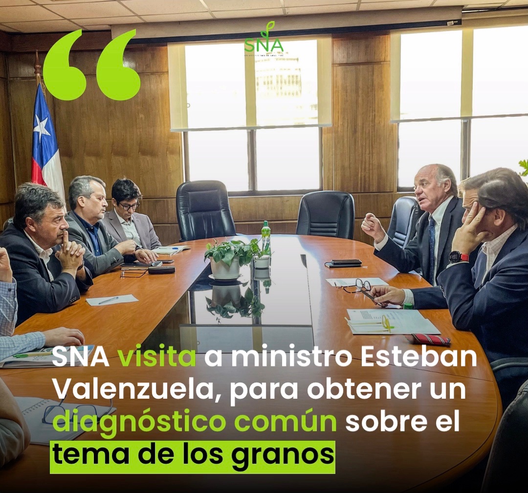 SNA_Chile's tweet photo. 🌾Este ha sido un año difícil para los granos en general y especialmente para el trigo, considerando los costos de producción y el precio internacional. Esperamos que los actores del mercado actúen con transparencia, libre competencia y agilidad👨‍🌾🌾👩‍🌾 
#granos #minagri #trigo https://t.co/ErH7zUrqiy