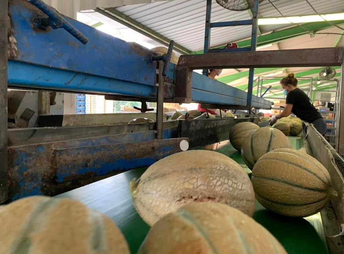 acharpentier85's tweet photo. 🇫🇷🌾 Soutien total à nos amis éleveurs et agriculteurs. Merci pour votre travail qui assure notre souveraineté alimentaire. Continuons à produire local pour manger local. 🐂🐑🐖🐐🐓🇫🇷 Merci 🙏
#SoutienAuxProducteurs #soutienauxagriculteurs
#vendee
(Photos du canton de #Lucon) https://t.co/YOaFGauUw4