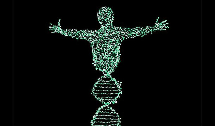 ɴᴇᴡ ᴄᴏɢᴀ ꜱᴛᴜᴅʏ: Genomic Analysis Of 1.5 Million People Uncovers Genes Related To Addiction, Antisocial Behavior, And Disease 🧬🧠 This research sheds light on the intricate genetic nature of externalizing traits: rb.gy/8iofvb