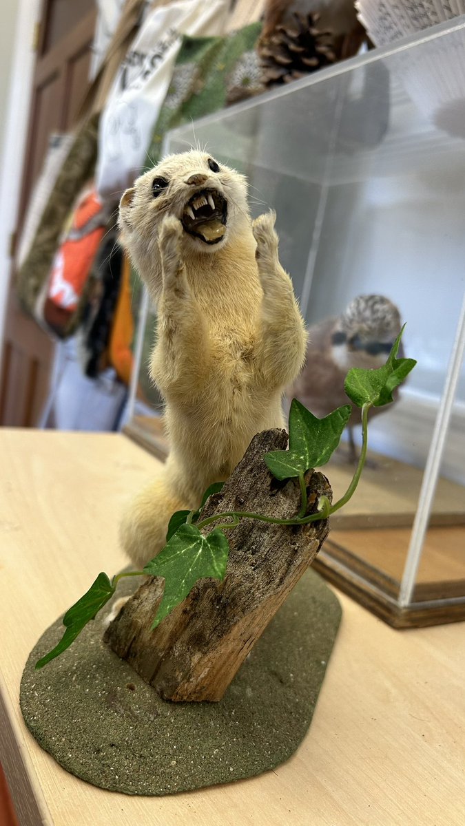 mattarnclass6's tweet photo. Year 6 when they’re told their homework is due today! https://t.co/NXFv68pkgg