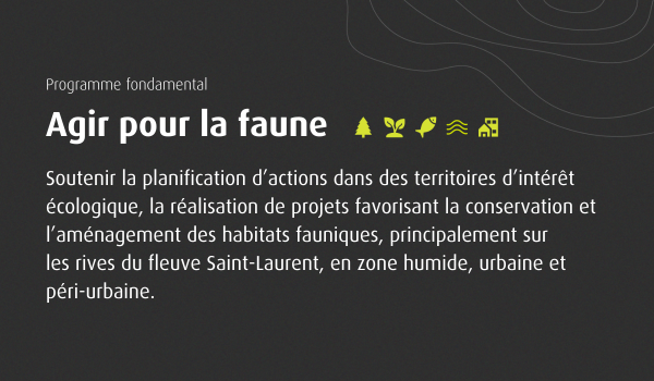 Fondation faune tweet media
