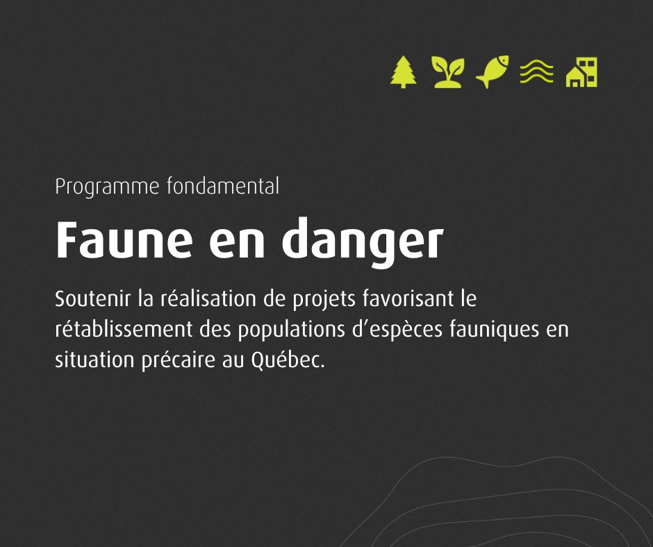 Fondation faune tweet media