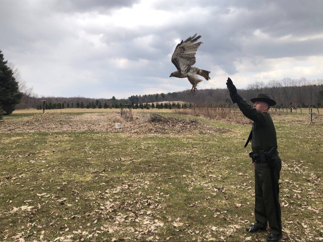 BasilSeggos's tweet photo. The @NYSDEC family is mourning the passing of Lt. David McShane who succumbed to a 9/11 illness contracted during his service at Ground Zero. Dave was a dedicated public servant and a brave leader. Our thoughts are with Dave’s wife, children, and loving friends. https://t.co/6bbhkJMsmi