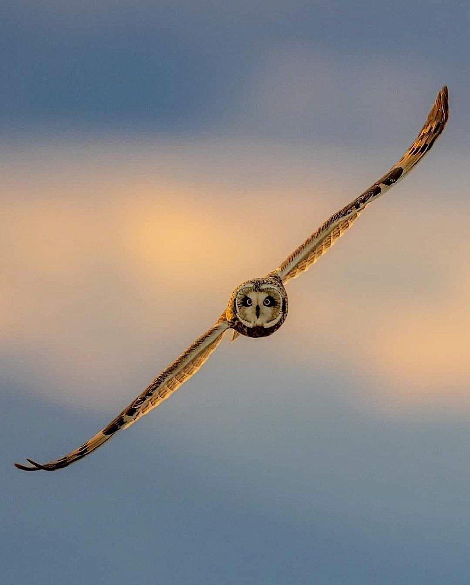 scienceworld224's tweet photo. Amazing photo by Steve Woods Photography https://t.co/0WVsCxSGql
