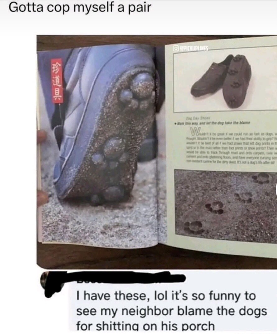 chaotic memes (@memechaotic) on Twitter photo 