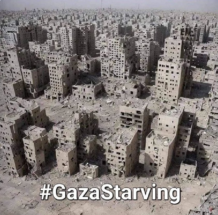 #GazaStarving