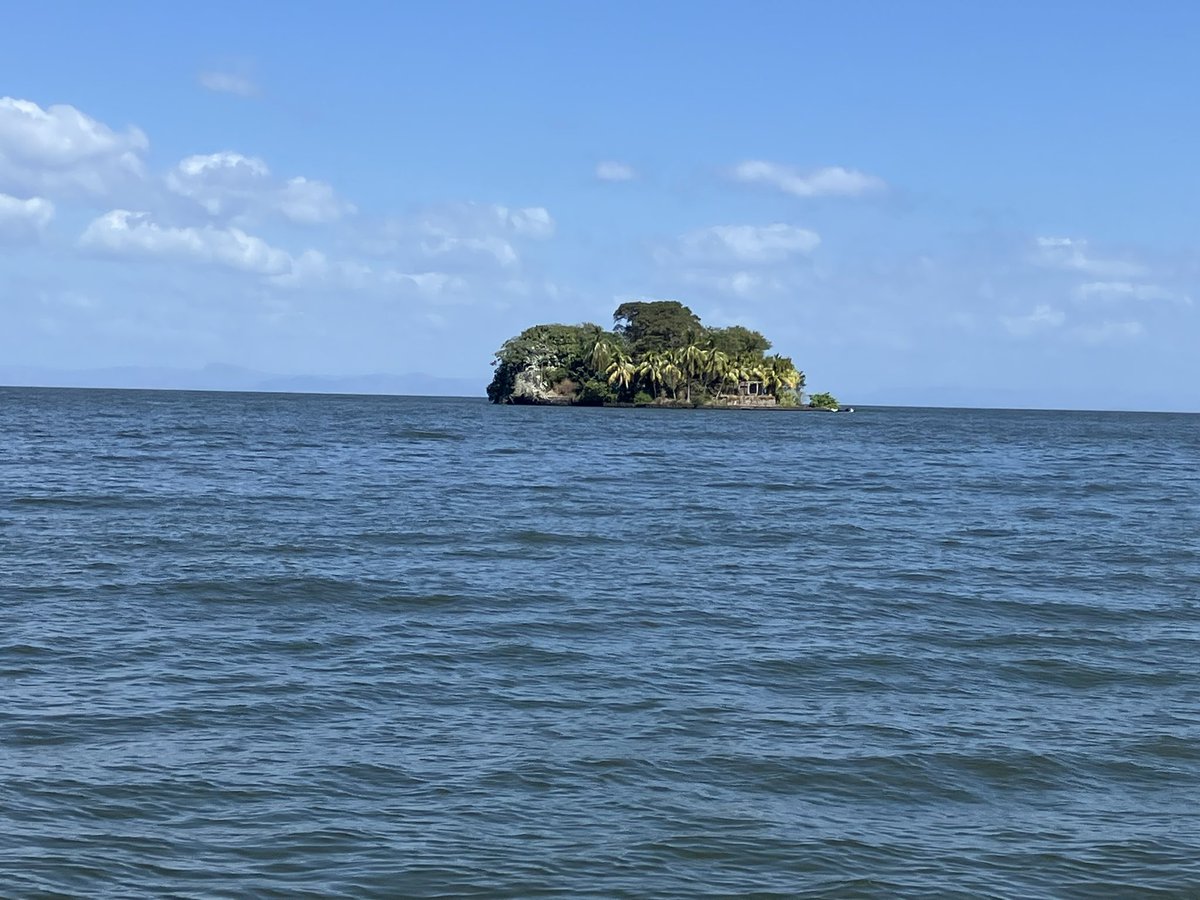 Fliper Gonzalez (@flipgon_) on Twitter photo 