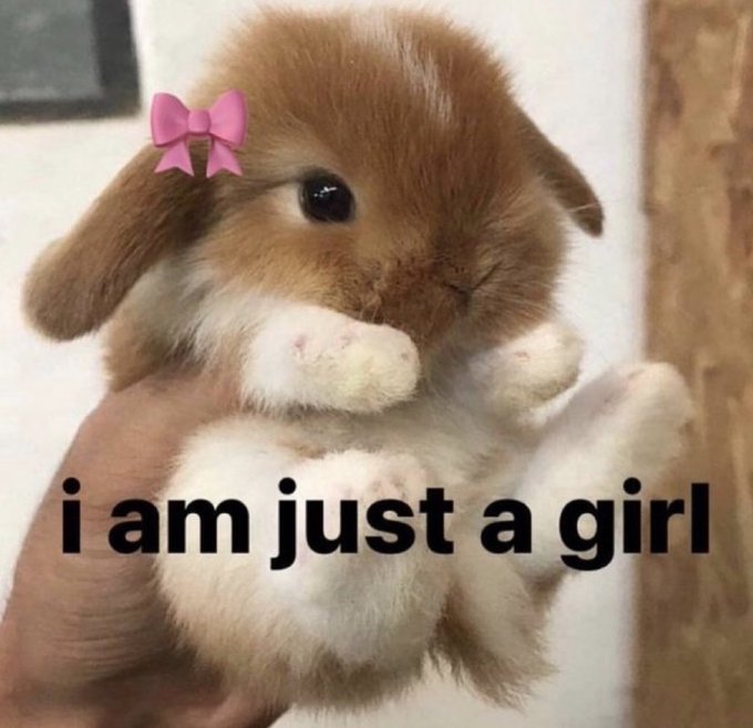 follow my free page - - - > https://t.co/5Wrx8iXcfx https://t.co/aGsLTNeipY<a href="/tag/video"class="tags"><span>#video</span></a>