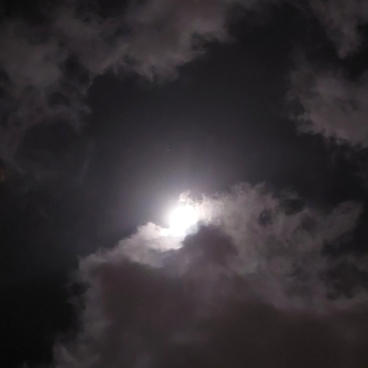 AliRFereidunian's tweet photo. #ماهنگاری
#ابرنگاری
#شبنگاری
#moongraphy
#cloudgraphy
#nightgraphy https://t.co/uFhAZUUAhs
