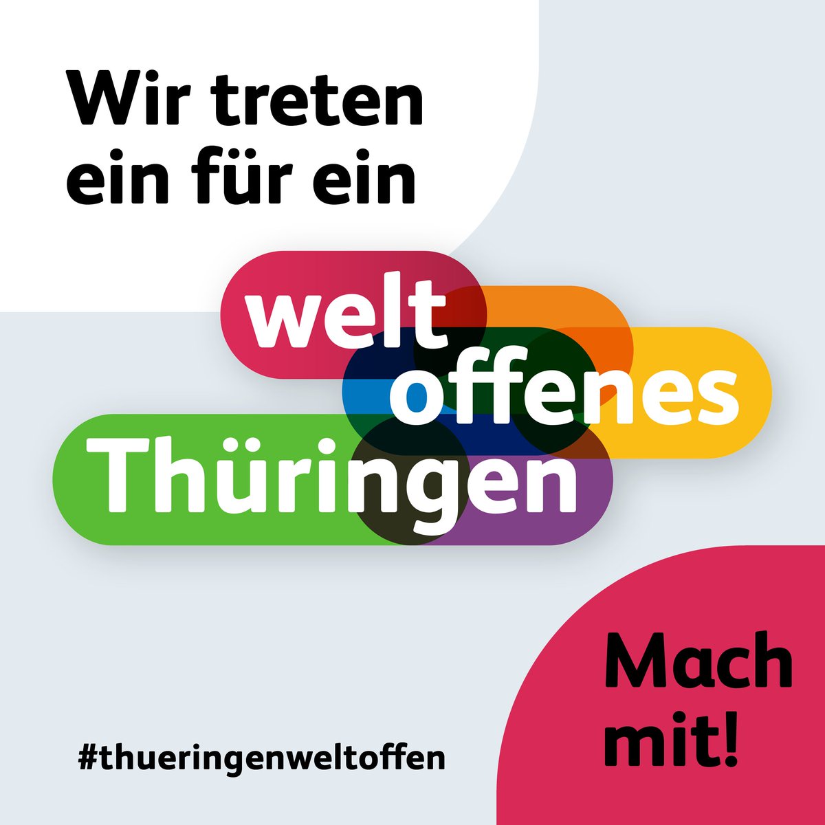 Im Institute for Planetary Health Behaviour ist es uns eine Herzensangelegenheit, die Initiative Weltoffenes Thüringen zu unterstützen! 🤝 
👉 thueringen-weltoffen.de