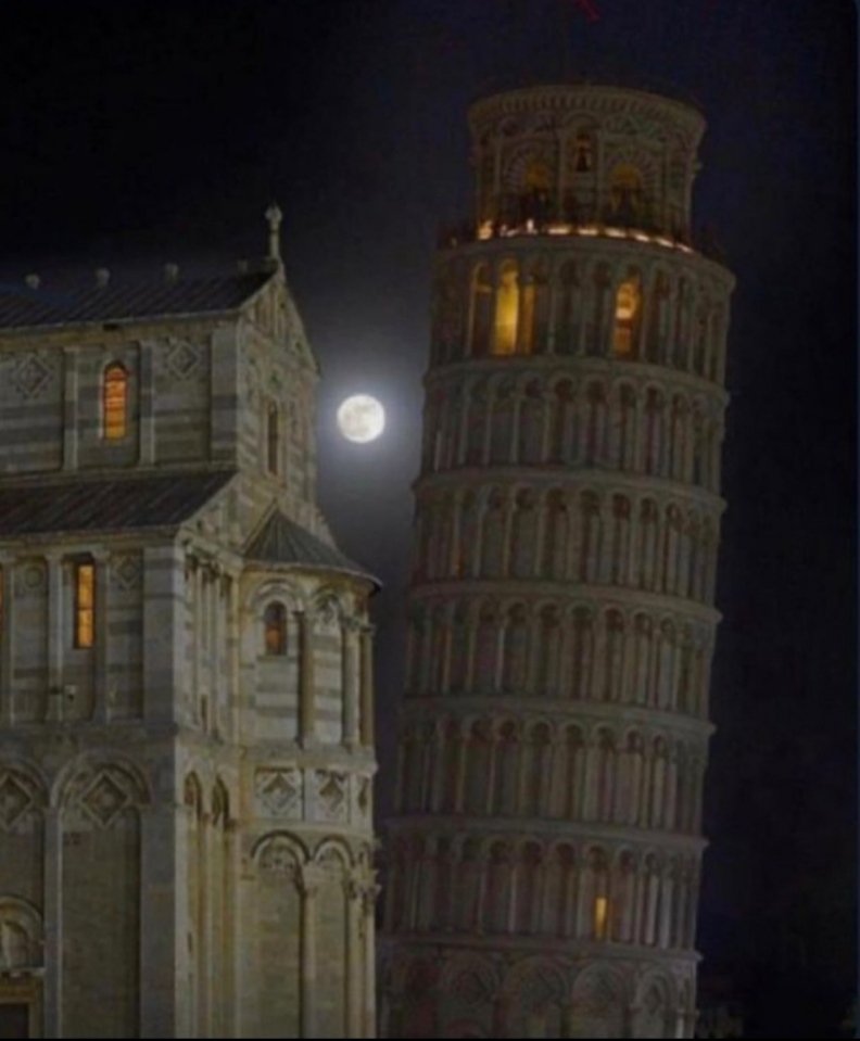 Ayın fotoğrafını çekebilirmiyim
Pisa kulesi: tabi tabi kusura bakmayın