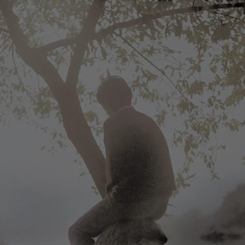 𝘌𝘷𝘢𝘯 tweet media