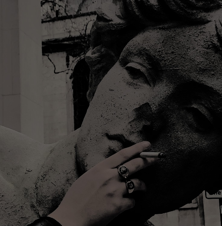 𝘌𝘷𝘢𝘯 tweet media