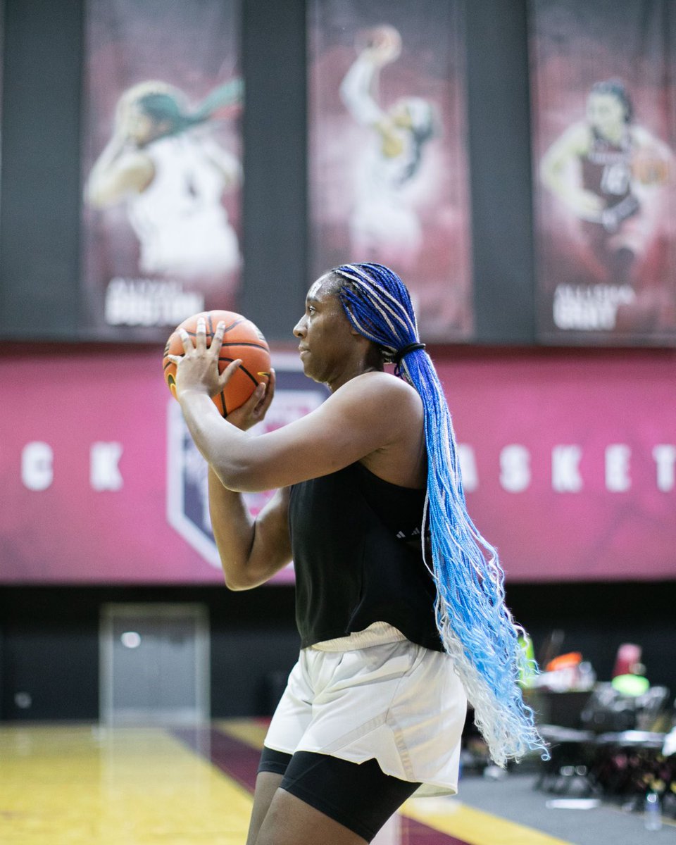 South Carolina Women's Basketball tweet media