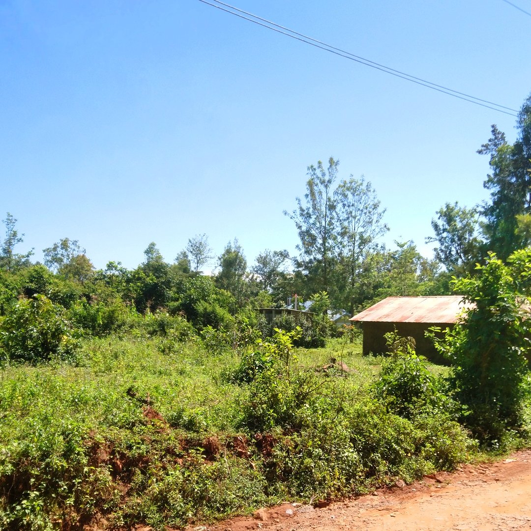 A quiet homestead in Nyanza.

#countryside #travel #photography #photographylover #takeawalk #adventure #explore #breathe #BeHappy #takeawalk #selflove #peaceful #photography #photographyisart #photo #nature #naturephotography #TwitterNaturePhotography  #TakeABreak