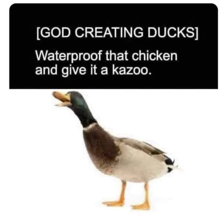 EverythingOOC's tweet photo. https://t.co/PkDDPRwzej